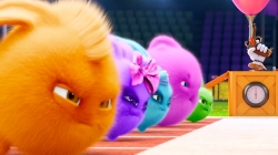 انیمیشن سانی بانیز قسمت 371 - sunny bunnies